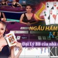 Hướng dẫn cách chơi bài ngầu hầm Ku Casino