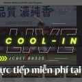 Cool-in Live